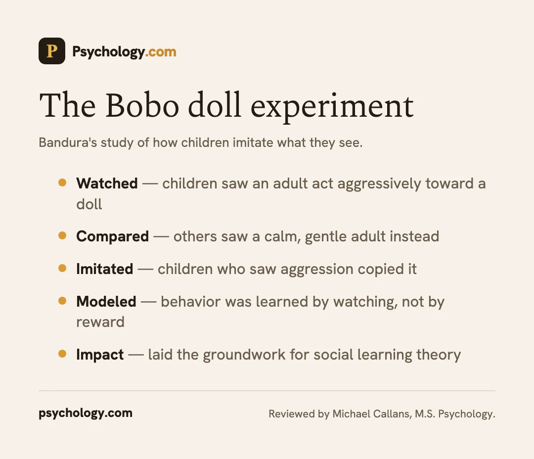 Infographic summarizing the Bobo doll experiment on observational learning of aggression