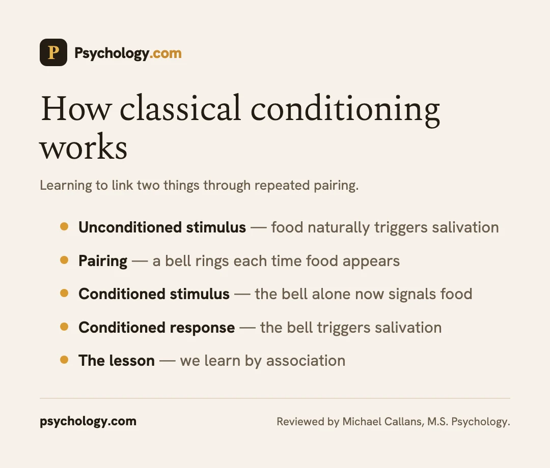 Infographic explaining classical conditioning through the pairing of stimuli