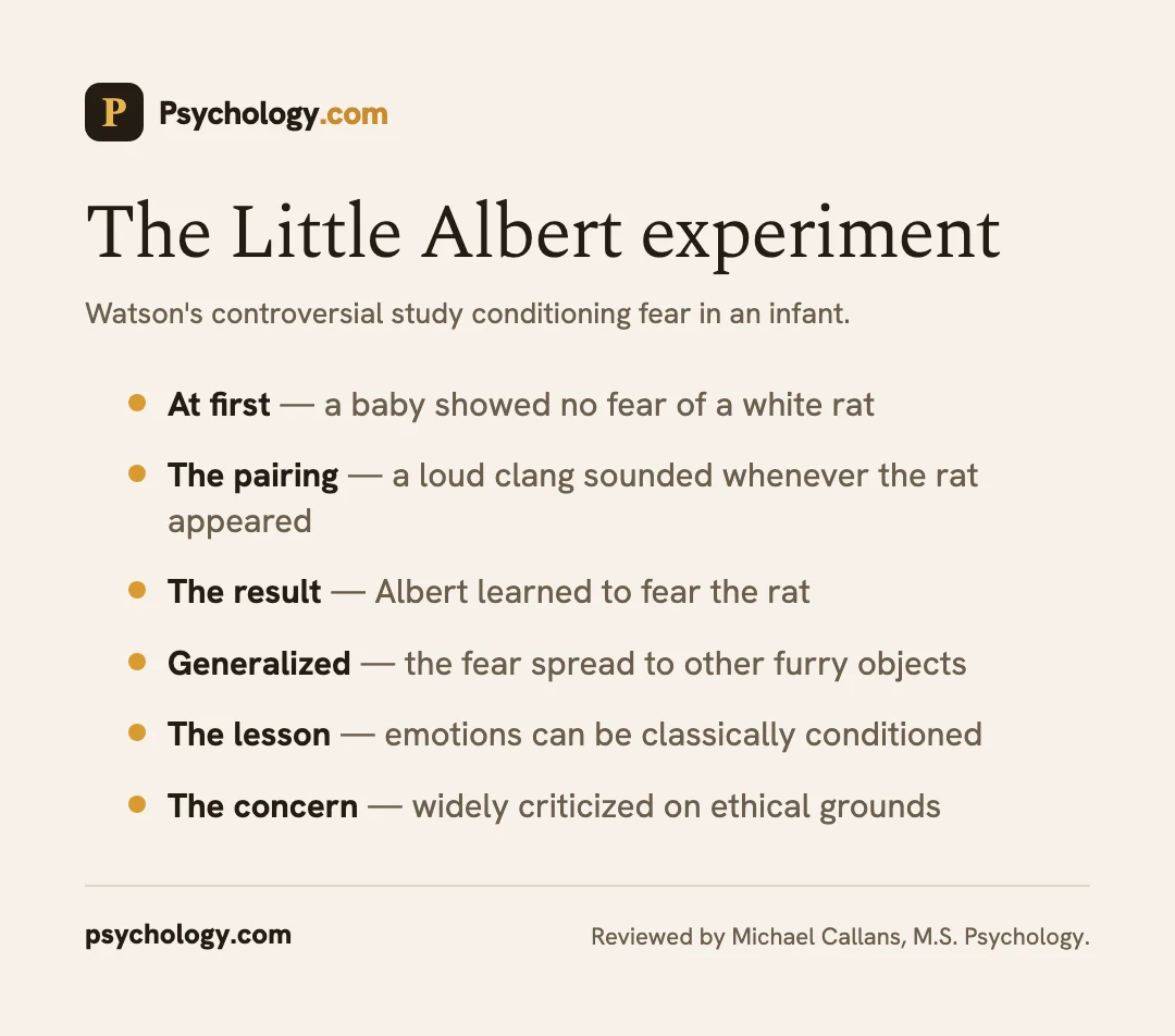 Infographic summarizing the Little Albert experiment on conditioned fear