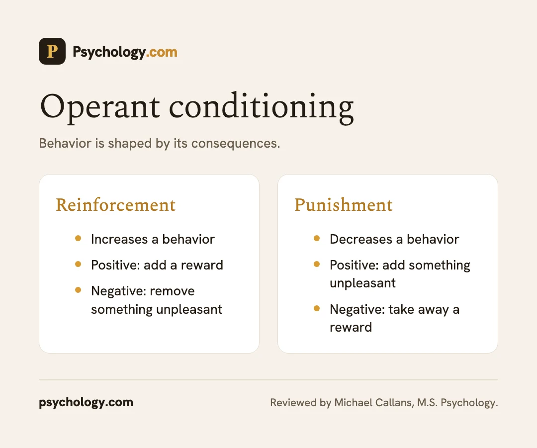 Infographic explaining operant conditioning with reinforcement and punishment