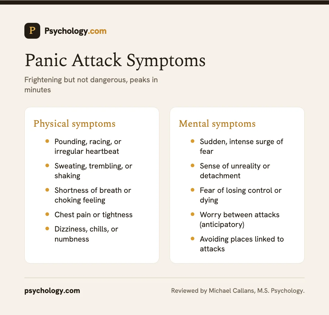 Infographic of panic disorder symptoms split into physical and mental signs of a panic attack