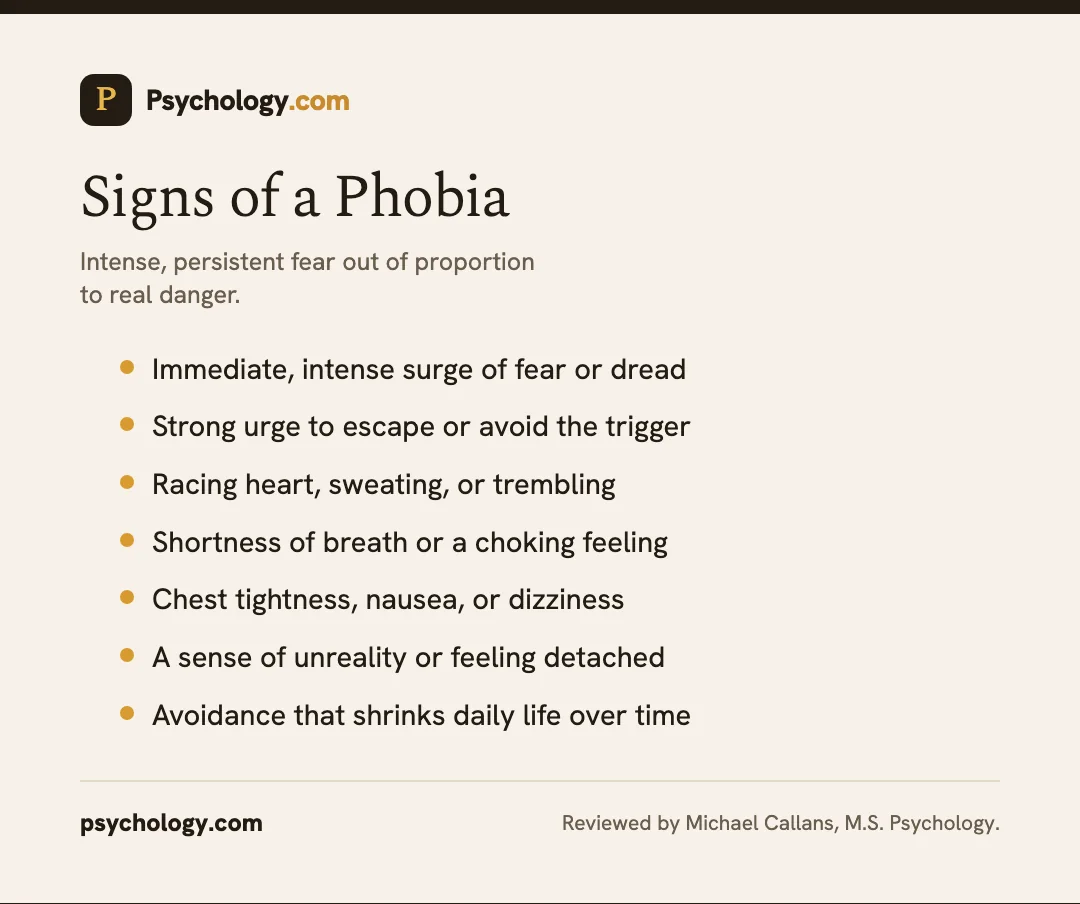 Infographic listing common symptoms and signs of a phobia, including fear, avoidance, and physical reactions.