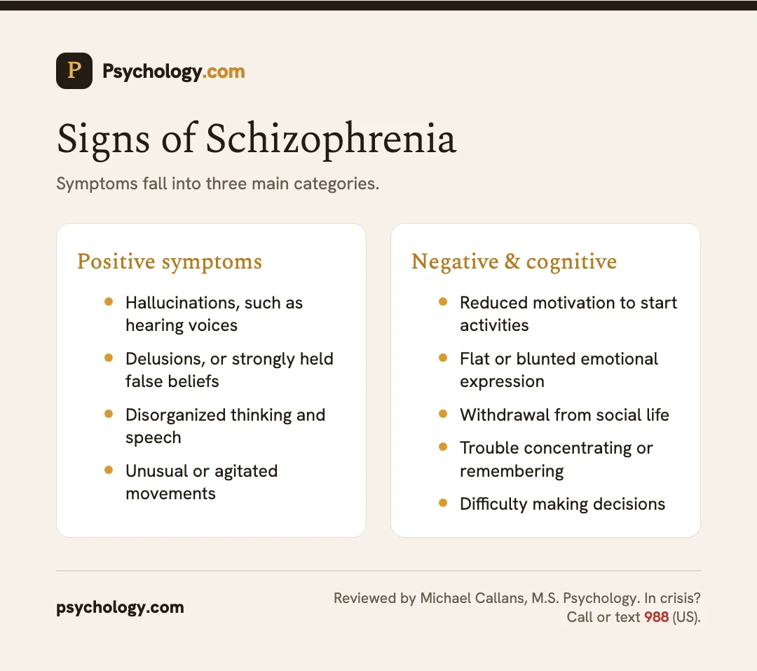 Infographic showing the positive, negative, and cognitive symptom categories of schizophrenia.